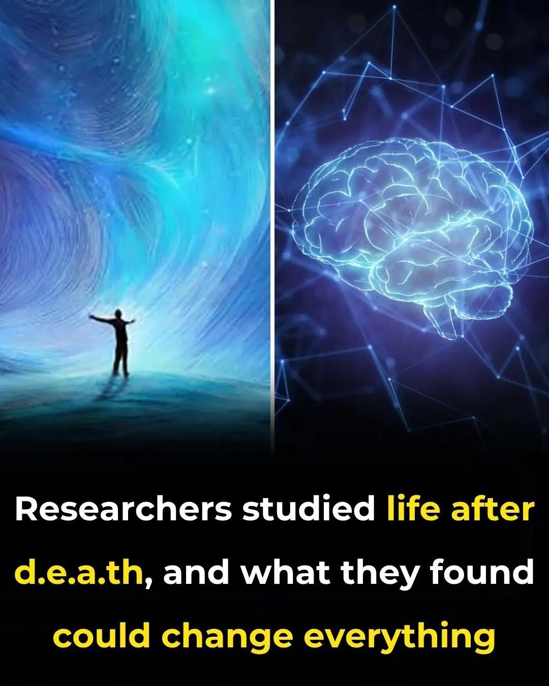 Research Reveals Cells’ Ability of Deceased Organisms to Form New Life