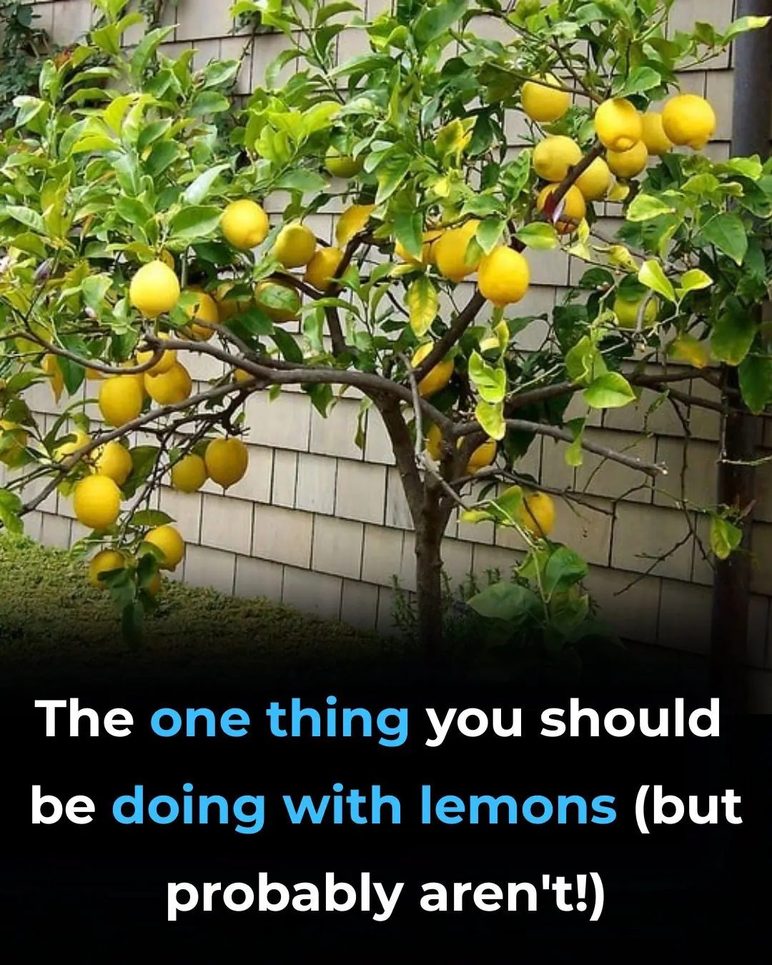 Scientifically Proven Health Benefits of Lemons (Including Lemon Water)
