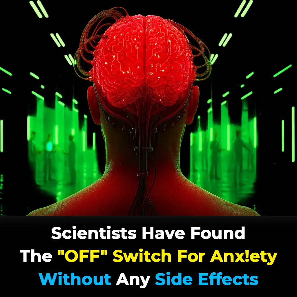 Scientists Discover Hidden ‘Off Switch’ That Could Erase Anxiety Instantly - No Side Effects