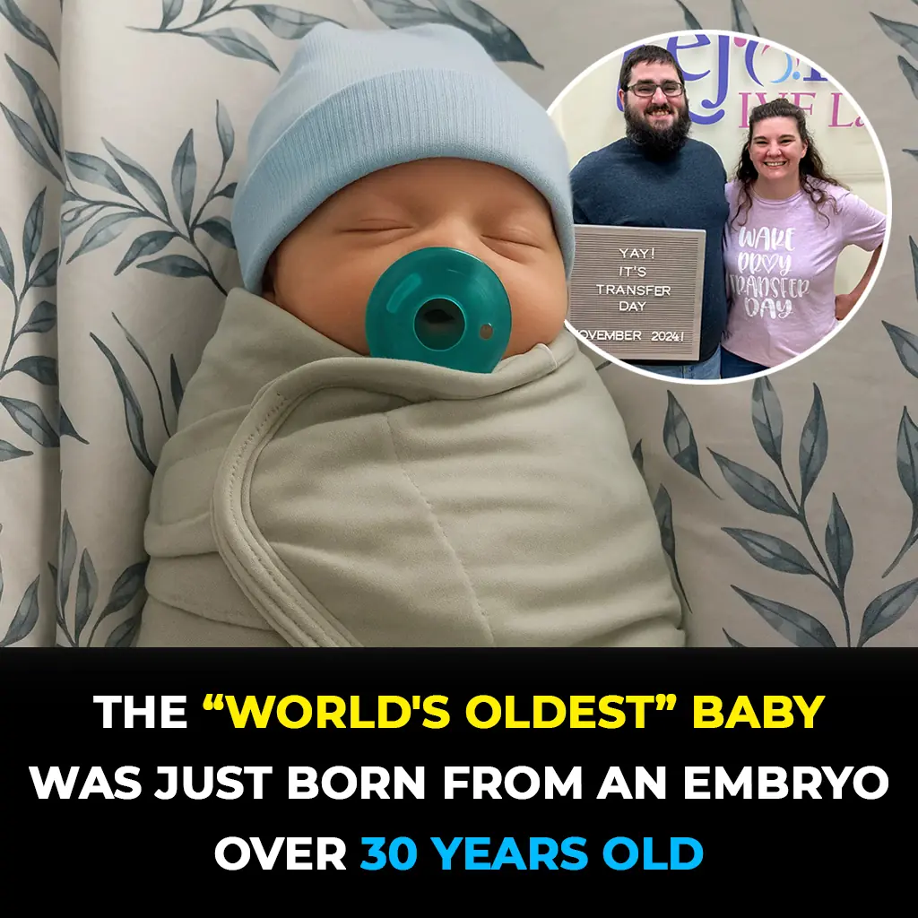 World's Oldest Newborn: Baby Born After Being Frozen for 30 Years