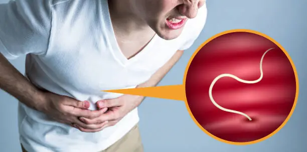 How to Tell If You Have Intestinal Parasites and What to Do About That