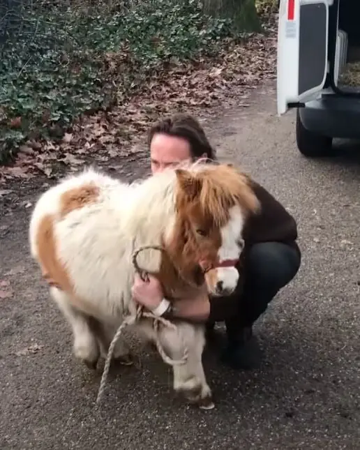 From Lonely to Loved: How a Tiny Horse Found the Friend He Needed Most.