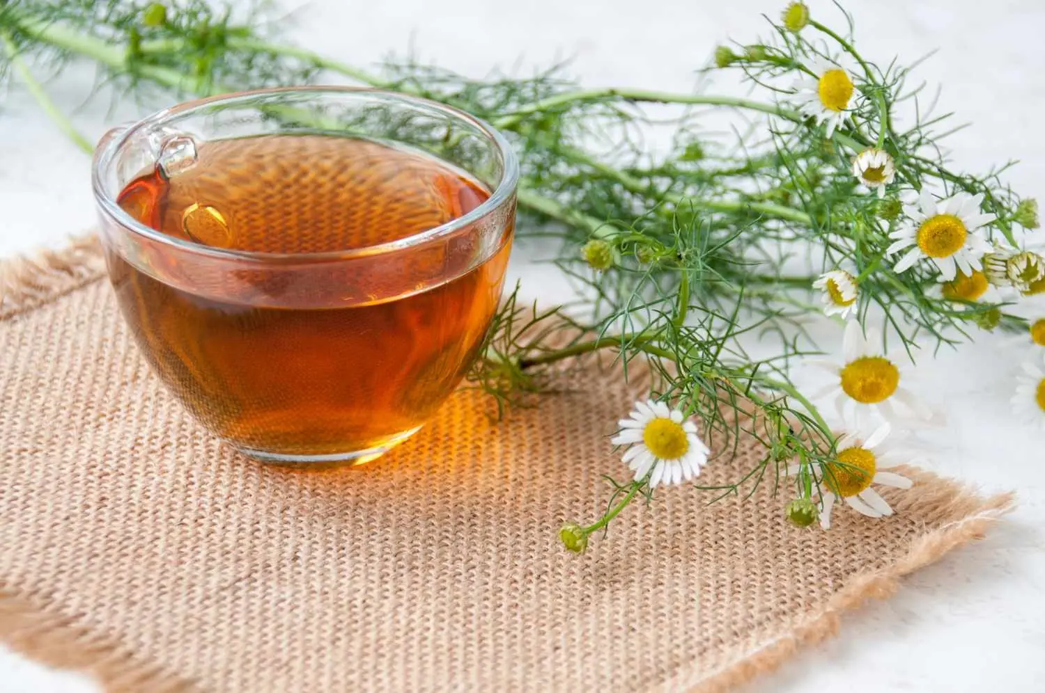 6 Powerful Teas That Will Instantly Reduce Inflammation and Boost Your Health