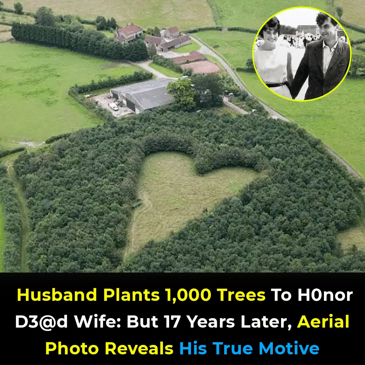 Farmer Plants 1,000 Oak Trees to Create Memorial for Late Wife