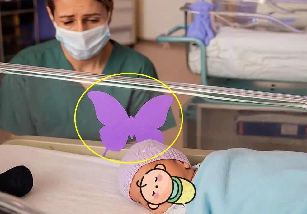 If You Notice a Purple Butterfly Sticker by a Newborn’s Bed—Here’s the Silent Tragedy Behind It