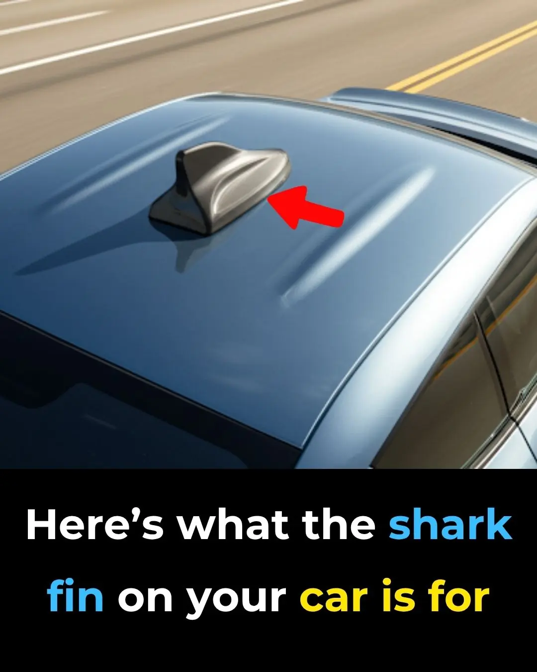 What Is the Shark Fin on Cars?