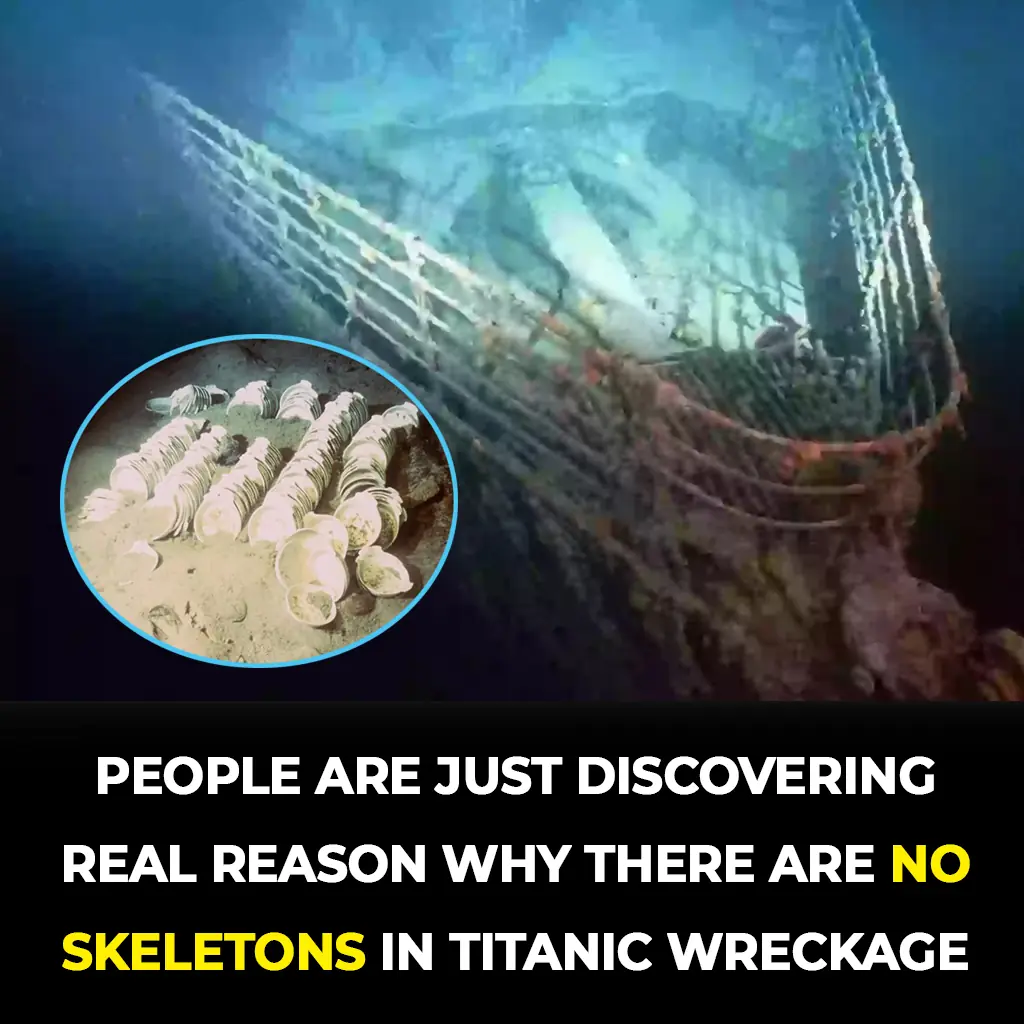 The Chilling Truth About Why No Human Remains Were Found in the Titanic Wreck