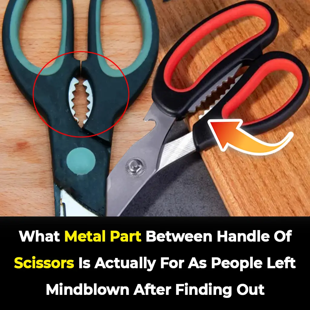 The Secret Behind the Small Metal Bump on Scissors Everyone Missed