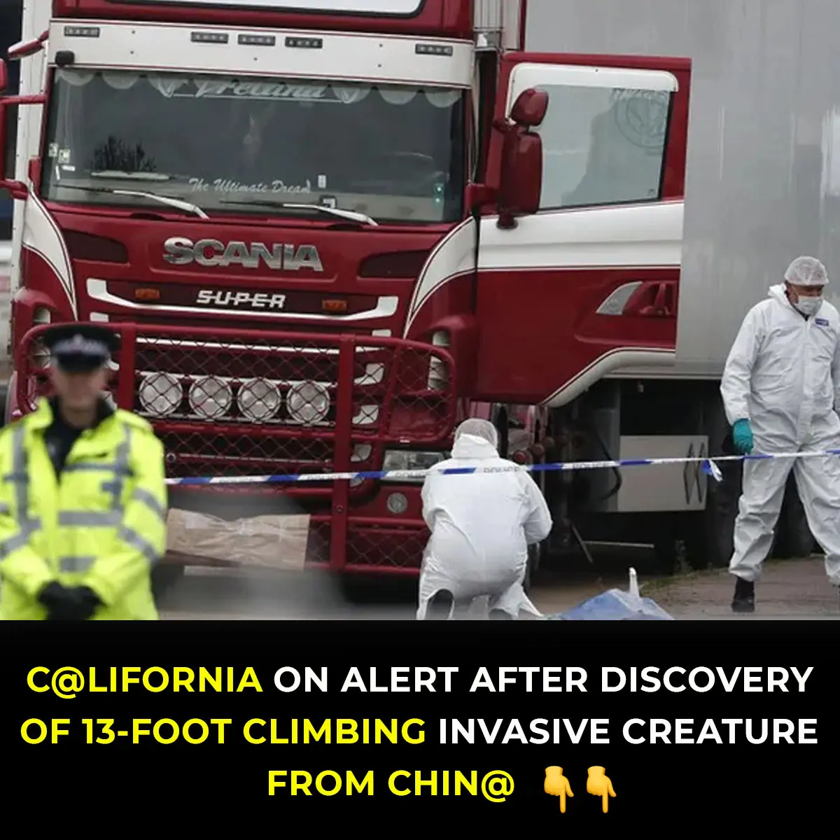 EventsCalifornia On High Alert After Invasive Crab Capable Of Scaling 13-Foot Walls Discovered