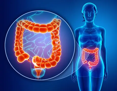 Scientists Reveal How to Cleanse Your Colon Fast Using Just 2 Simple Ingredients