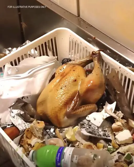 My Husband Threw Away the Chicken I Cooked Saying ‘You’ll Thank Me Later’ – When I Found Out Why, I Filed for Divorce