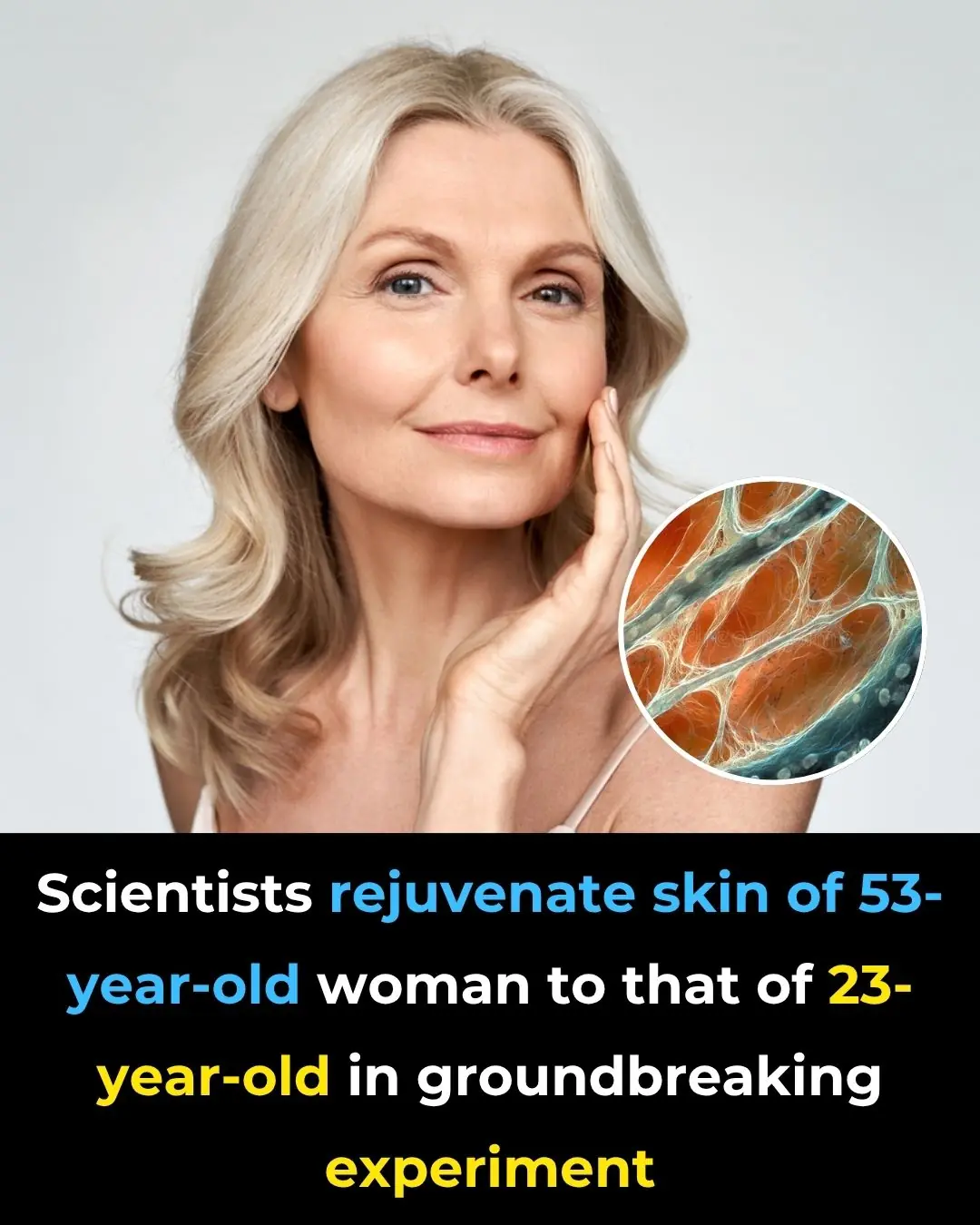 Scientists Reverse Aging of a 53-Year-Old’s Skin Cells to That of a 23