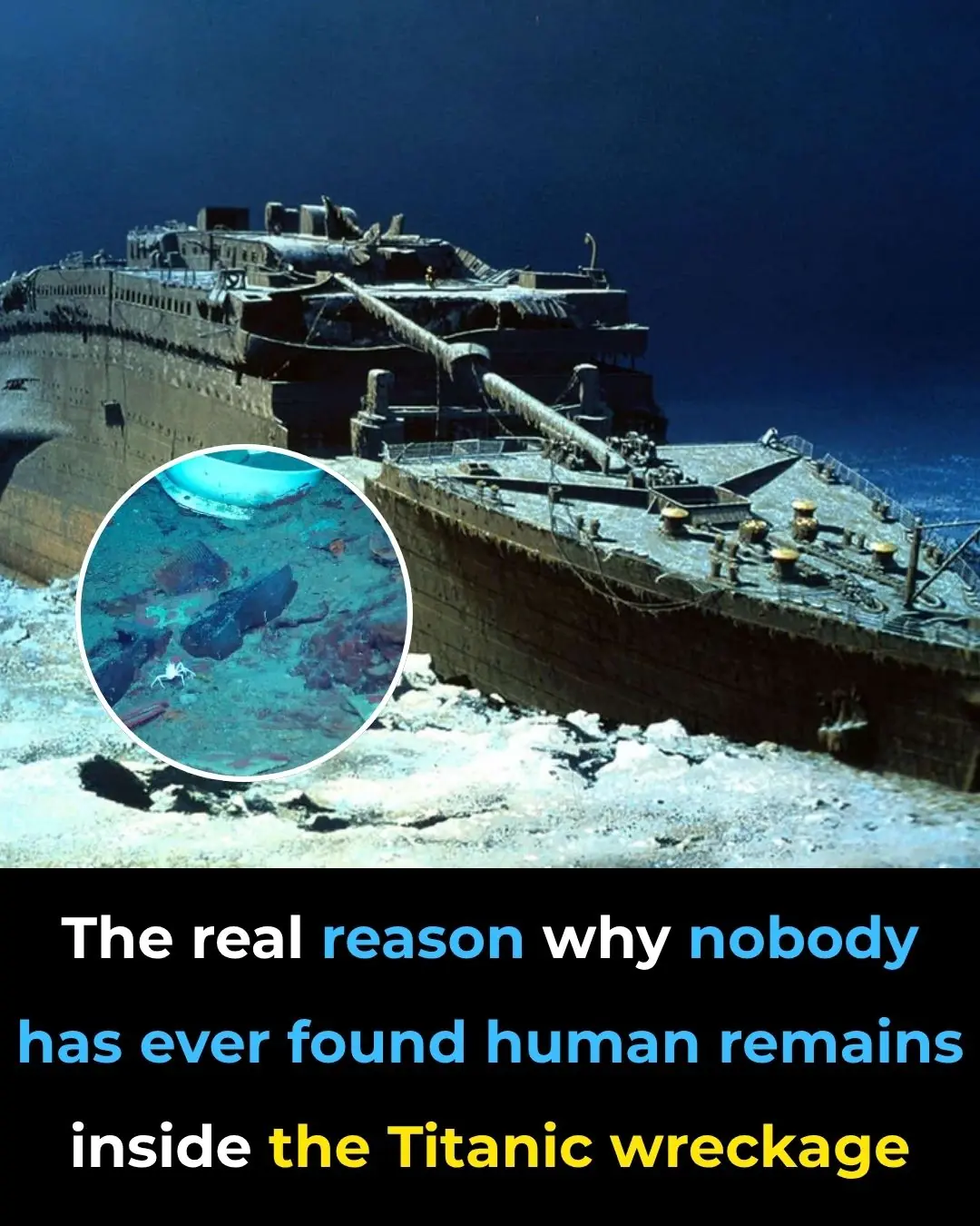 The real reason why nobody has ever found human remains inside the Titanic wreckage
