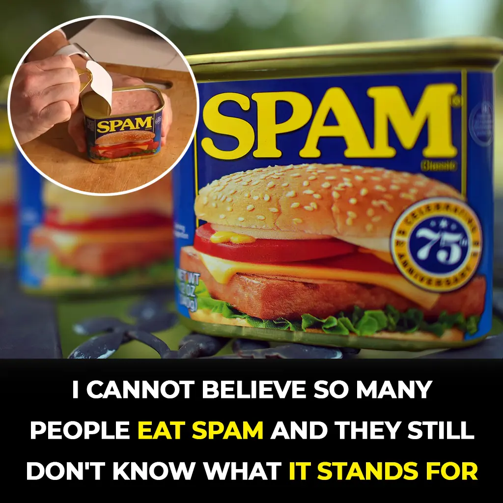 What Is SPAM Meat? History, Origin, Ingredients, and How It Became a Global Food Icon