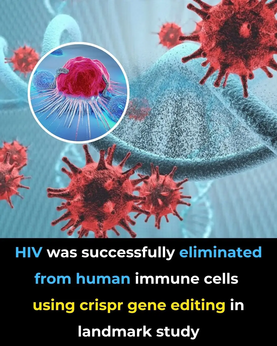 HIV Was Successfully Eliminated from Human Immune Cells Using CRISPR Gene Editing in Landmark Study