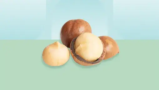 5 Potential Health Benefits of Macadamia Nuts