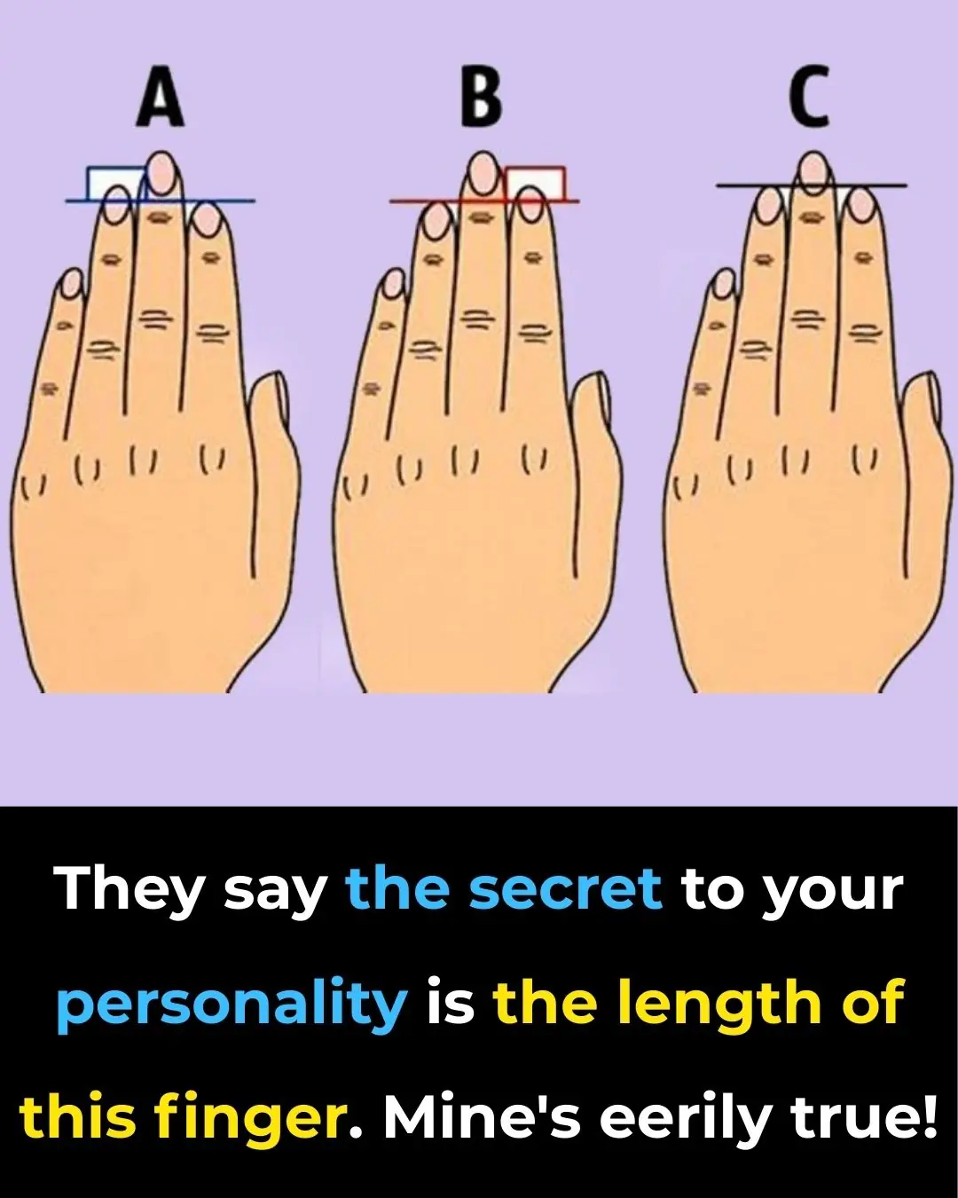 Index Finger Length: Personality and Fortune