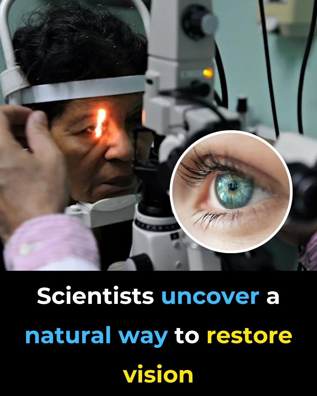 Scientists Uncover A Natural Way to Restore Vision