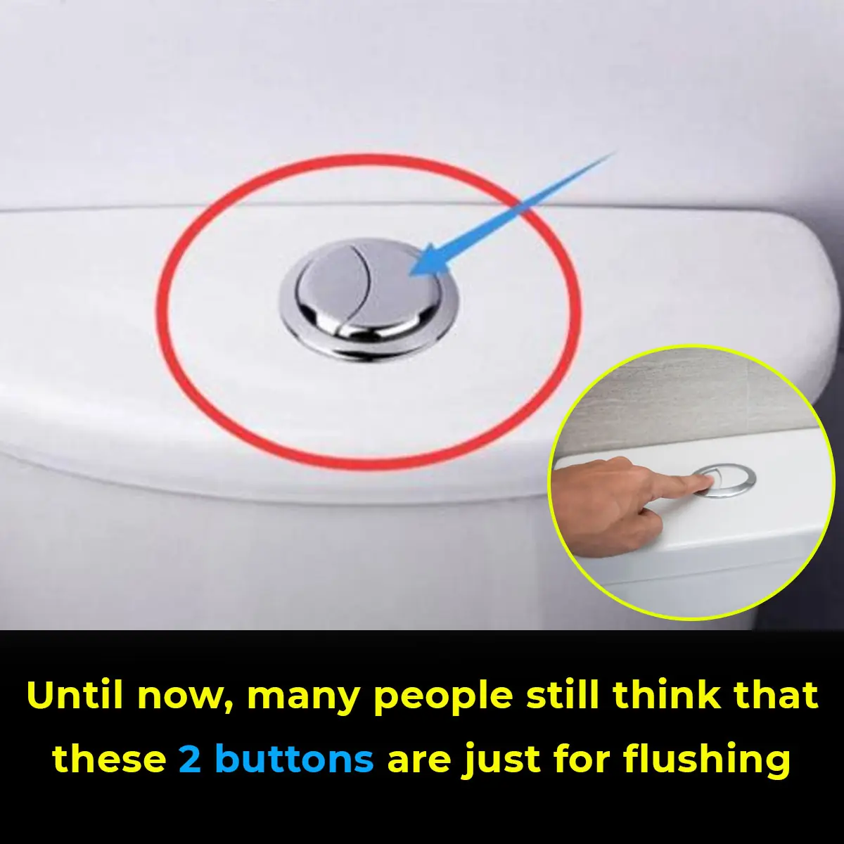 Many People Still Think That These 2 Buttons Are Just For Flushing