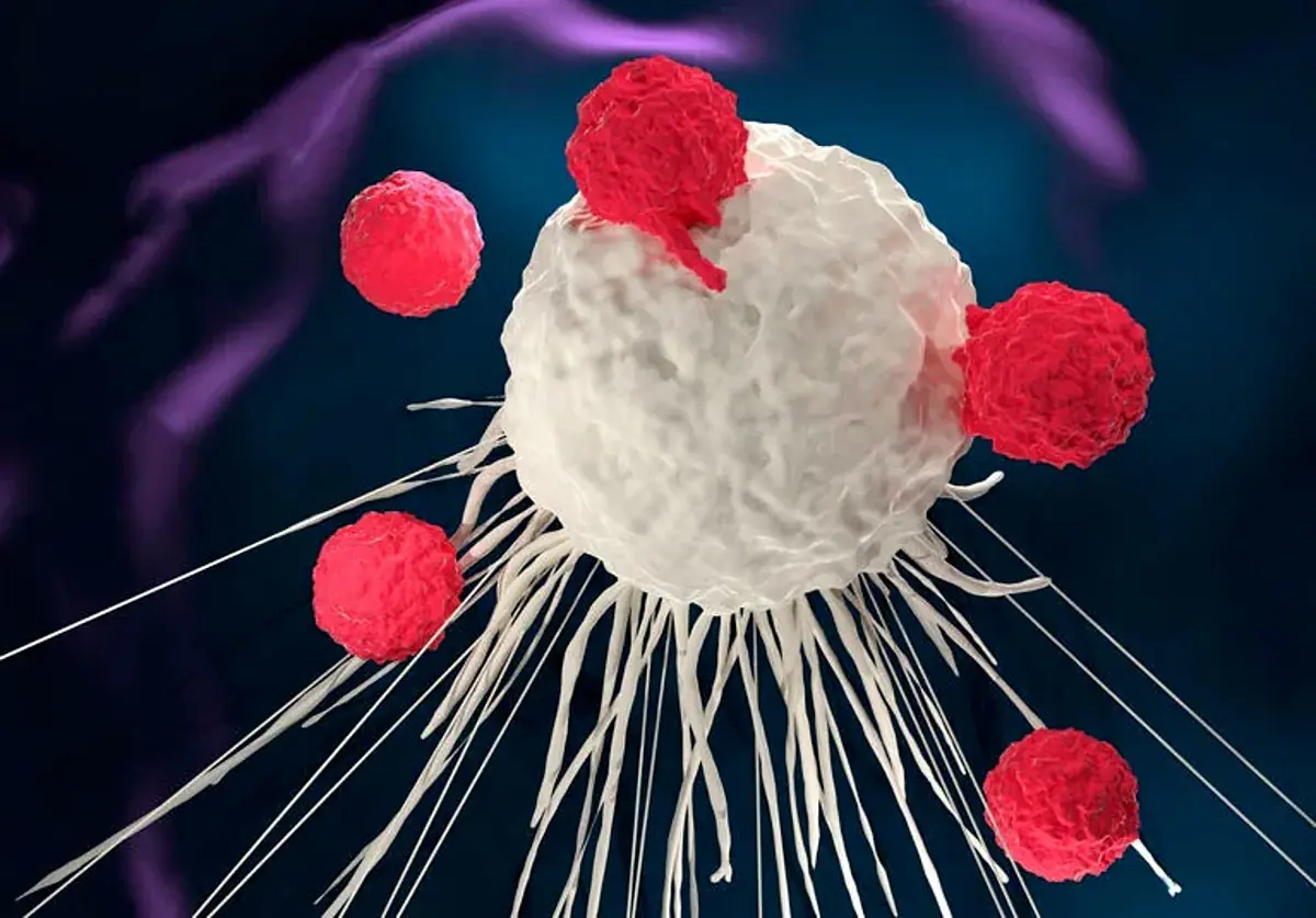 Do I Have Prostate Cancer? 12 Early Symptoms Men Should Never Ignore