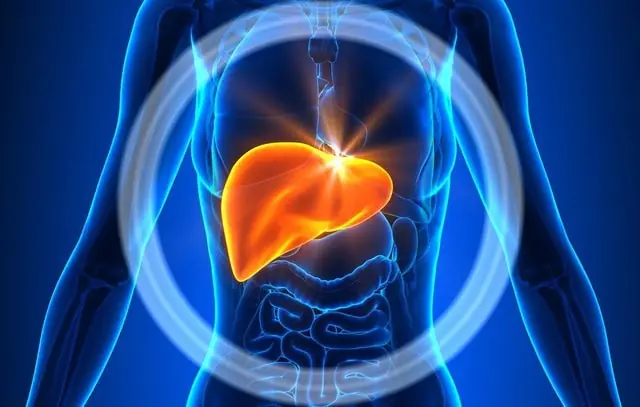 10 Warning Signs Your Liver is Overloaded with Toxins – Don’t Ignore These!