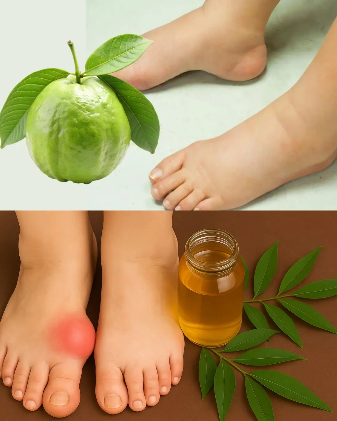 🍃 Say Goodbye to Bloating with the Japanese Guava Leaf Remedy: A Natural Solution for Water Retention 🌿
