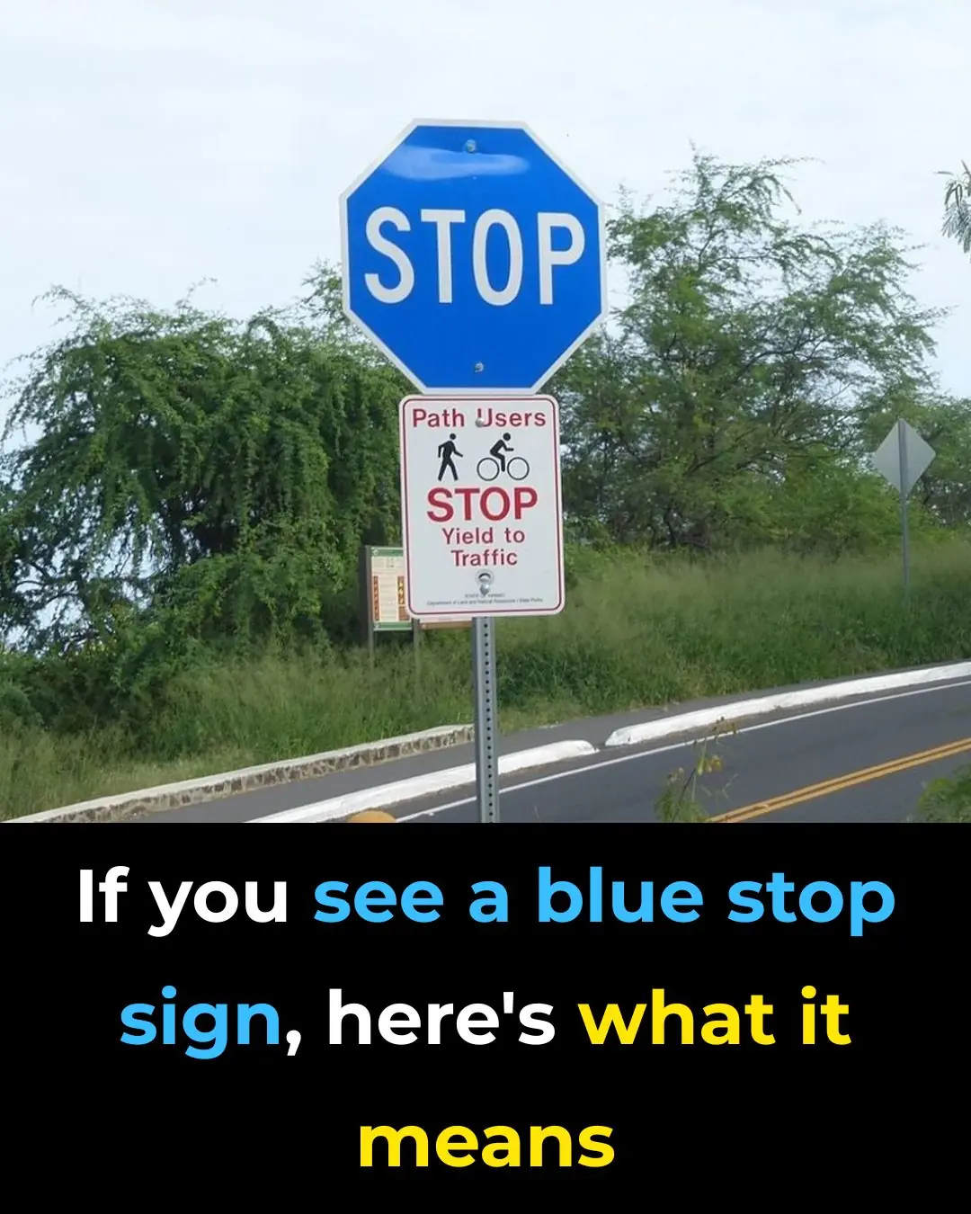 Blue Stop Signs: What Do They Mean?