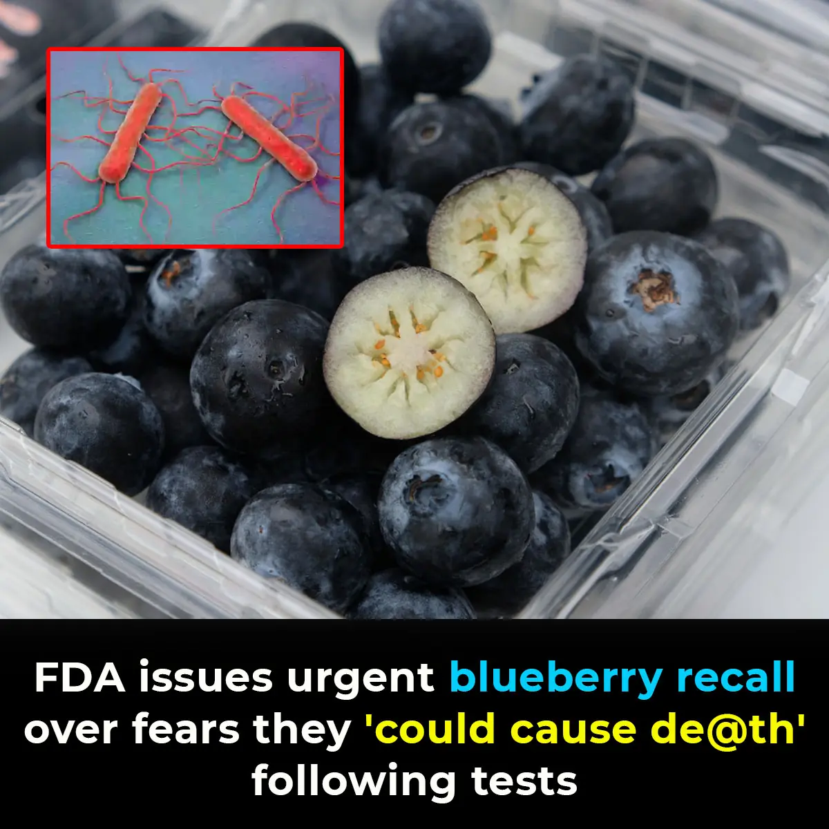 FDA issues urgent blueberry recall over fears they ‘could cause death’ following tests