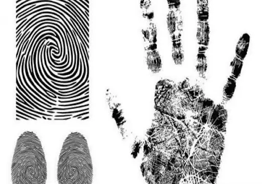 Decode the secrets behind human fingerprints.