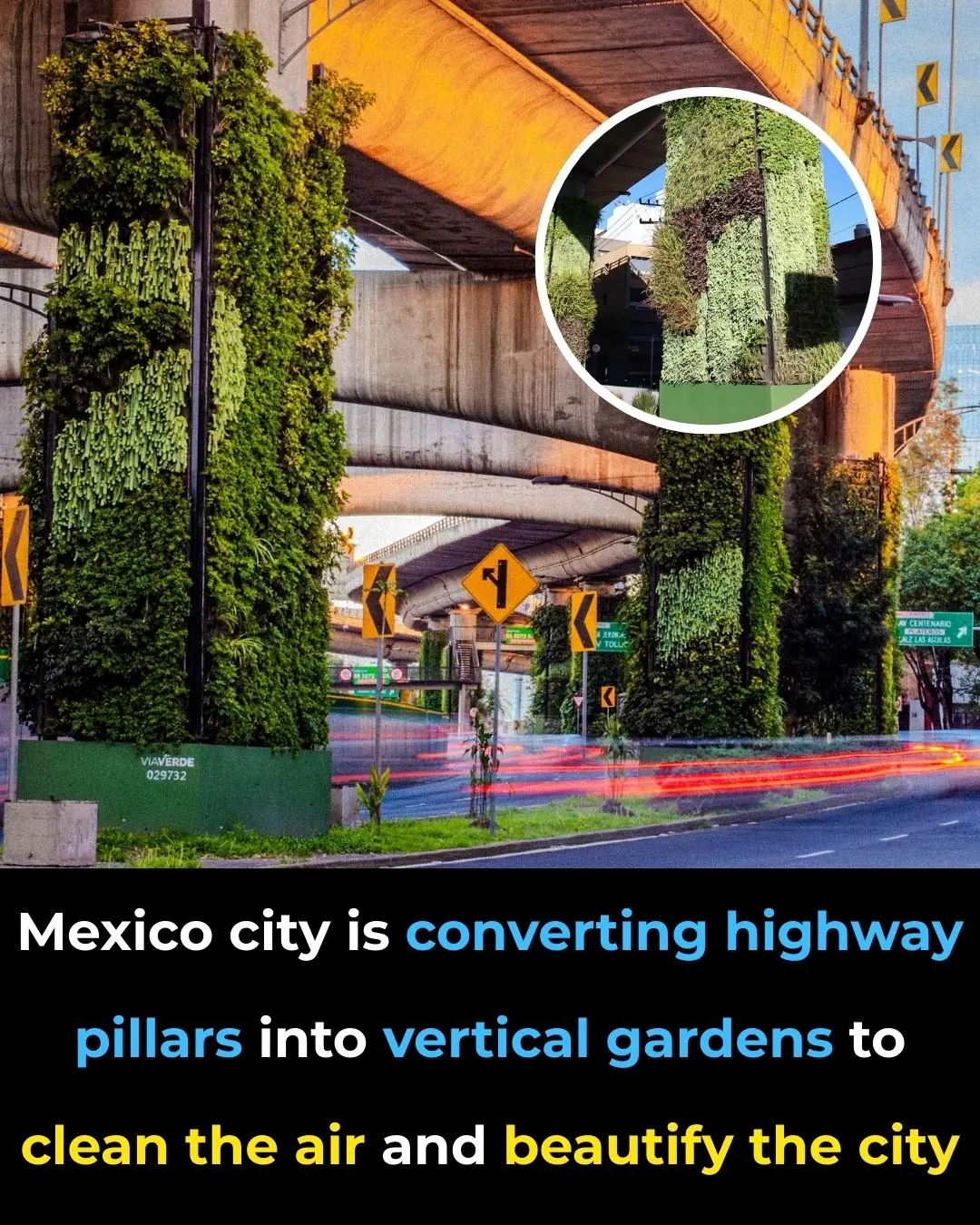 Watch – Mexico City is Converting Highway Pillars Into Vertical Gardens to Clean the Air and Beautify the City