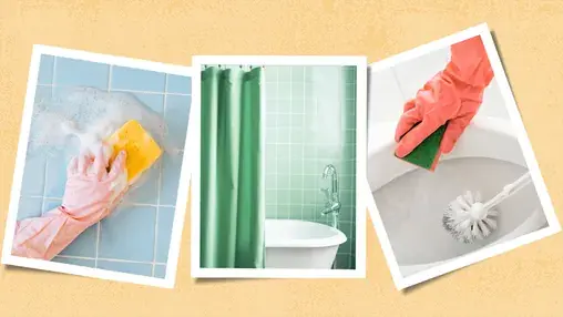 How Often to Clean Your Shower Curtain — and These 6 Other Bathroom Items