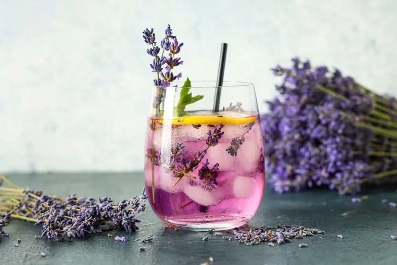 How to Make Lavender Lemonade to Help Get Rid of Headaches and Anxiety