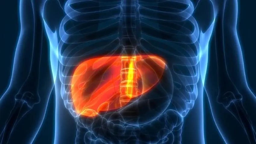 Early Signs of Liver Damage You Shouldn’t Ignore