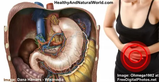 Proven Foods to Beat Gas and Bloating and Flatten Your Stomach