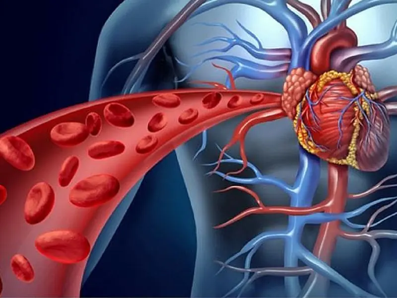Warning Signs of Poor Blood Circulation That Are Easy to Ignore