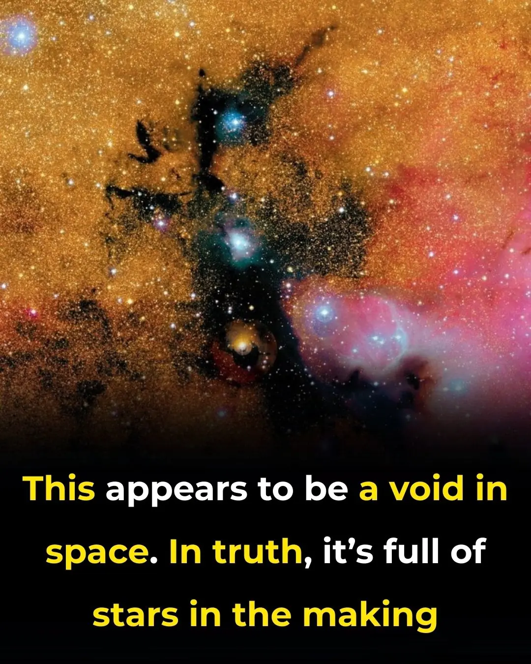 This Appears to Be a Void in Space. In Truth, It’s Full of Stars in the Making
