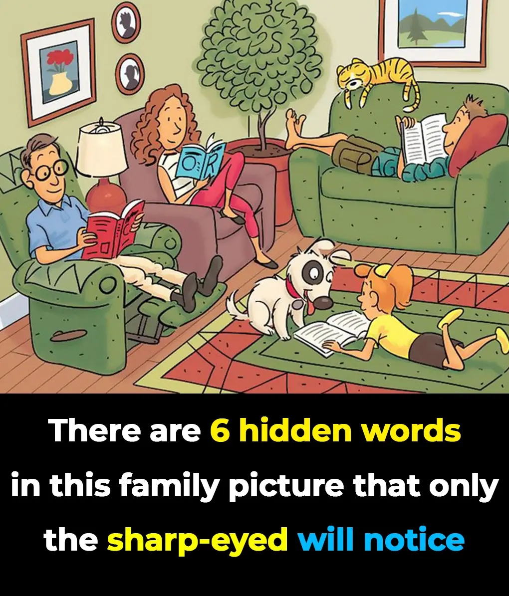 Only the Sharpest Eyes Can Find All 6 Hidden Words in This Living Room Challenge