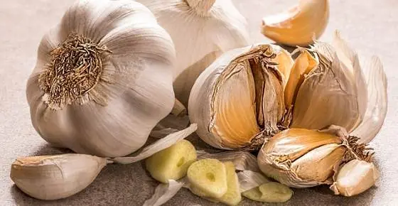 Medicinal Health Benefits of Garlic (Raw, Supplement) – Science Based