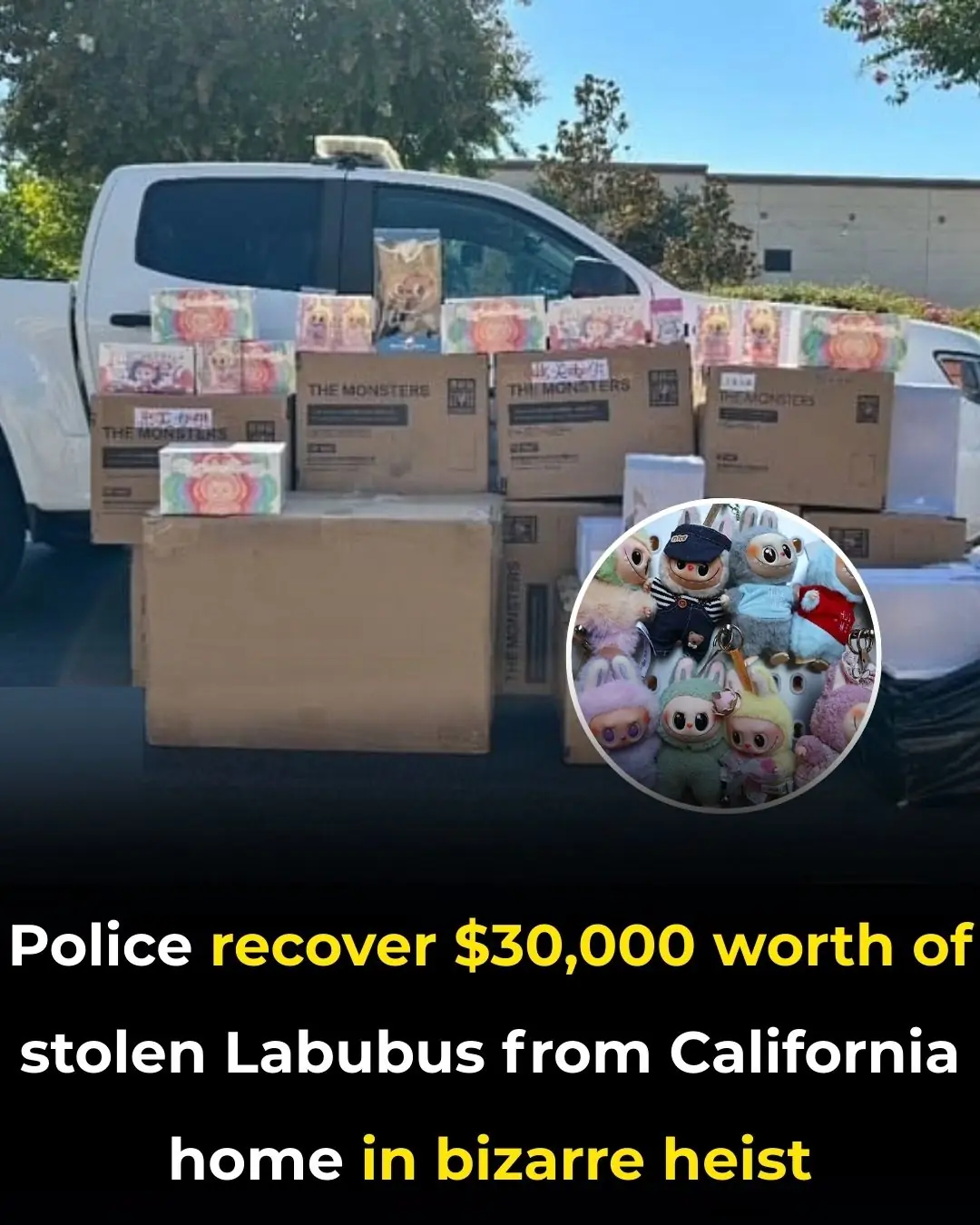 Police recover $30,000 worth of stolen Labubus from California home in bizarre heist