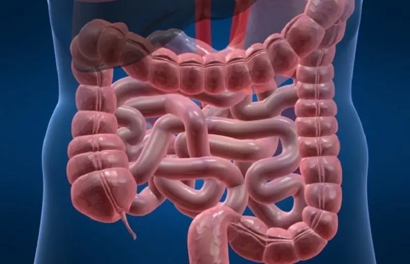 If You Have Colon Polyps, These 4 Signs While Using the Toilet May Appear – See a Doctor Before It’s Too Late