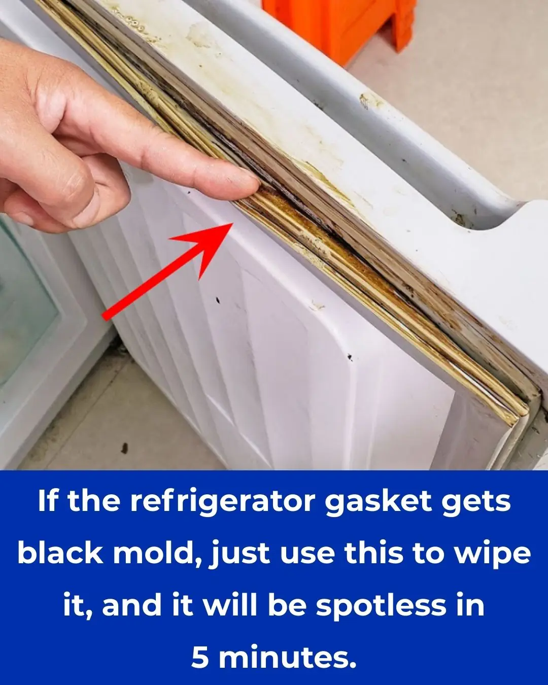 How to Effectively Clean Black Mold from Your Refrigerator Gasket in Just 5 Minutes