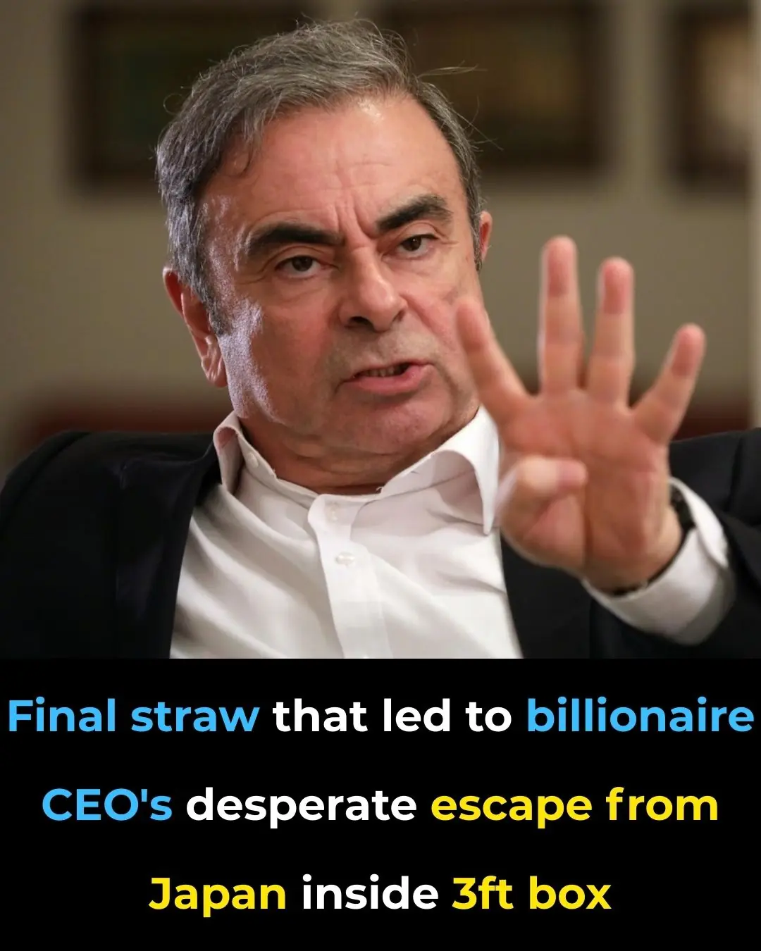 Final straw that led to billionaire CEO's desperate escape from Japan inside 3ft box
