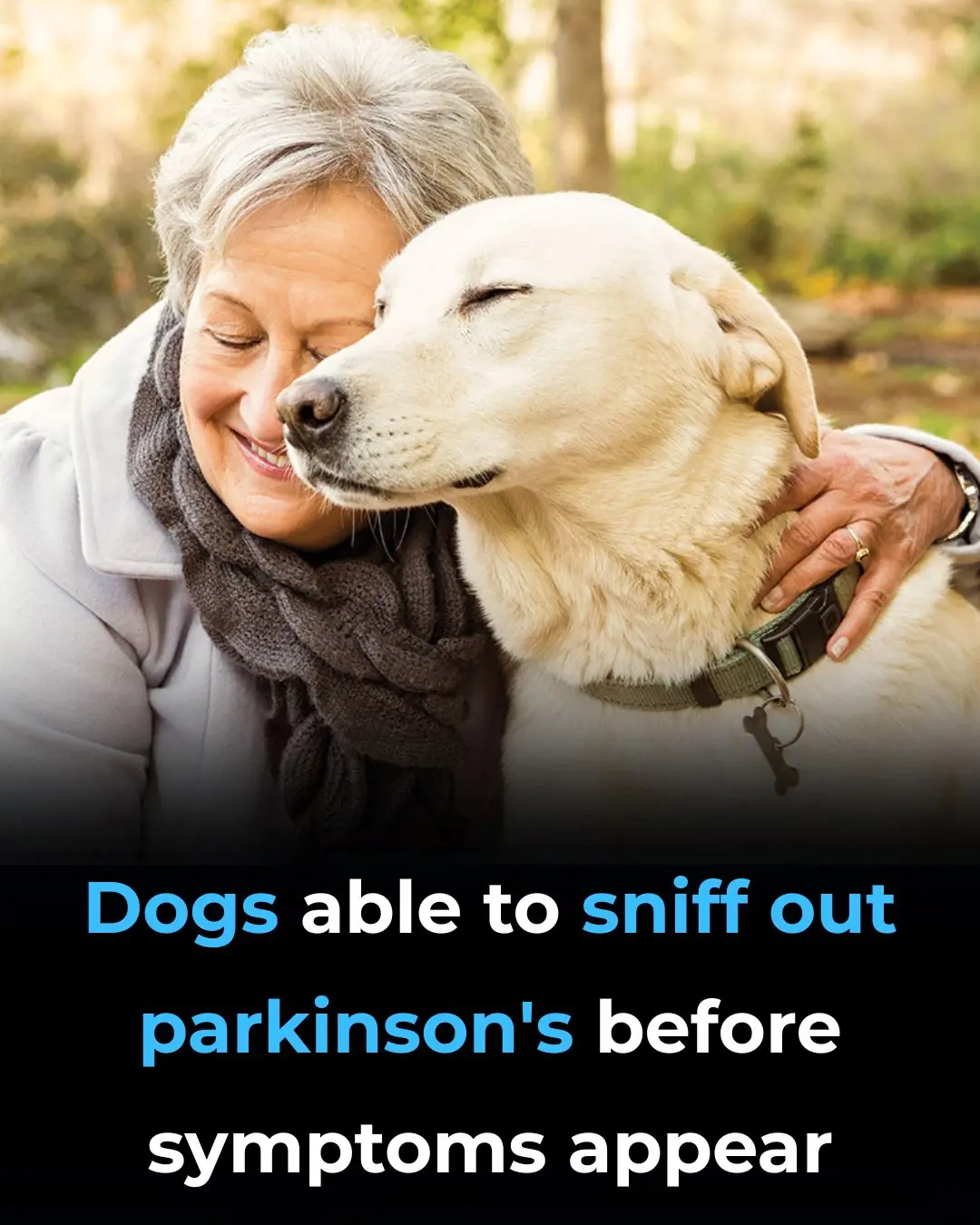 Dogs Able to Sniff Out Parkinson’s Before Symptoms Appear