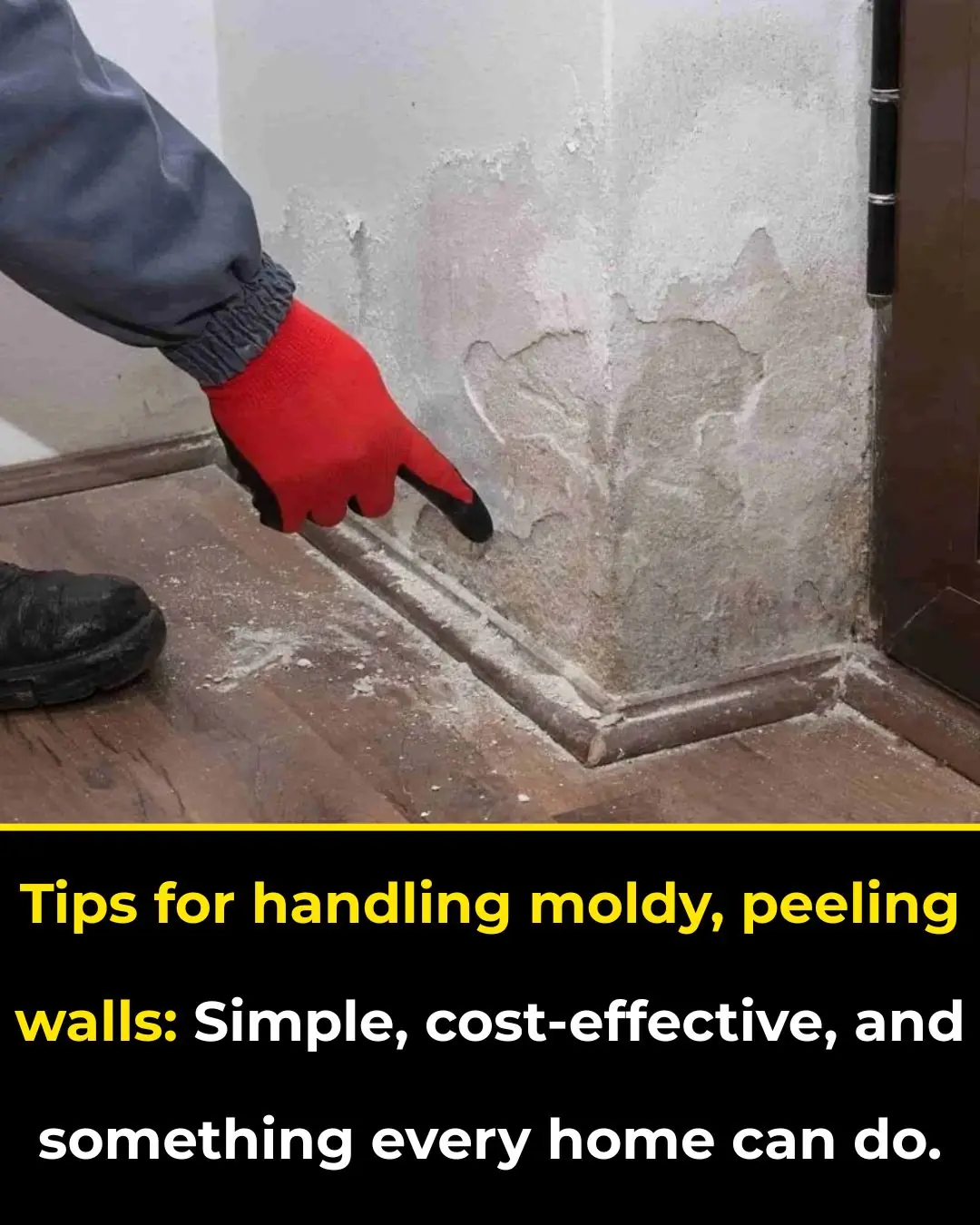 Moldy, peeling walls—simple, cost-effective fixes any home can do