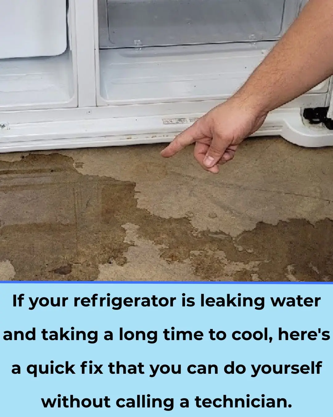 Fridge leaking water and cooling slowly? Do this quick DIY before calling a tech