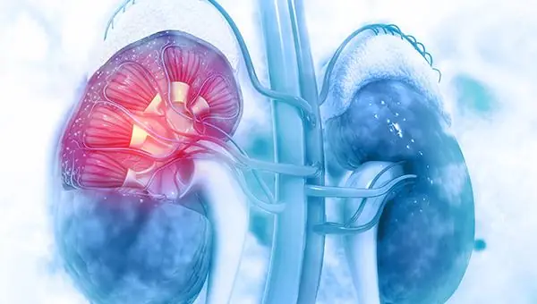 Early Signs of Kidney Disease and How to Protect Your Kidneys (Evidence-Based)