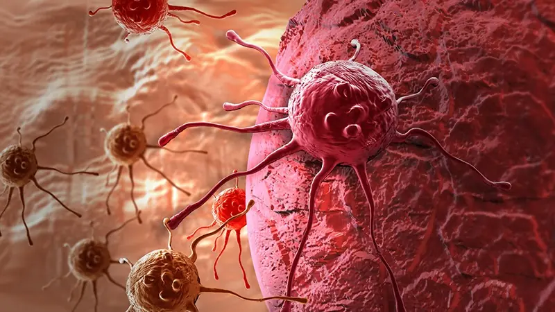 These 5 Foods Are Fueling Cancer in Your Body. Number 1 Will Surprise You