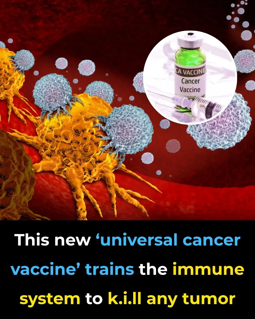 This New ‘universal cancer vaccine’ trains the immune system to kill any tumor