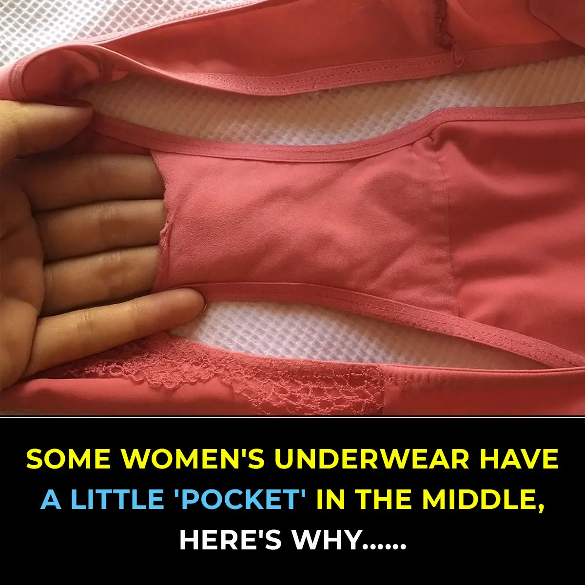 The Purpose of the Small Pocket in Women’s Underwear