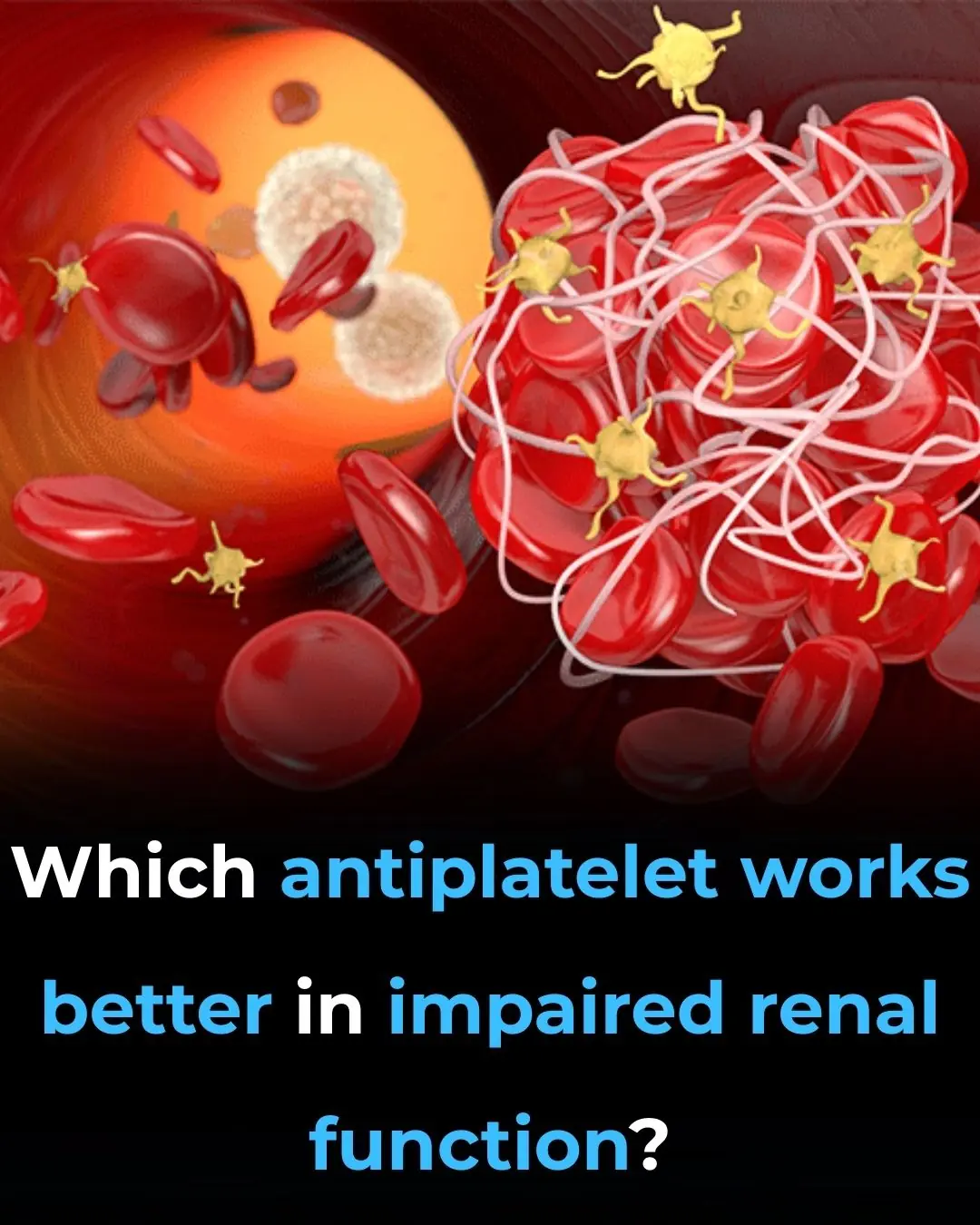 Which Antiplatelet Works Better in Impaired Renal Function?